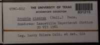 Image Associated With the Occurence